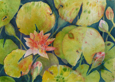 Lily Pads